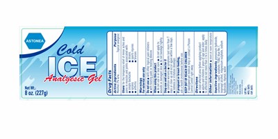 Principal Display And Drug Fact Panel (Analgesic Ice Gel Label)